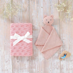Blanket And Teddy Bear Set